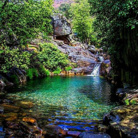 Апартаменты Quinta Da Ribeirinha Арока Экстерьер фото