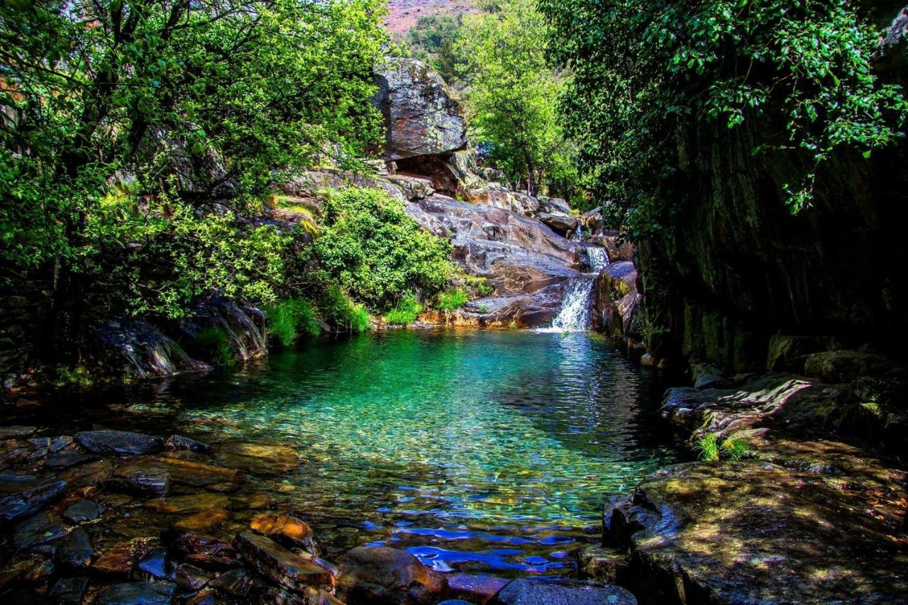 Апартаменты Quinta Da Ribeirinha Арока Экстерьер фото