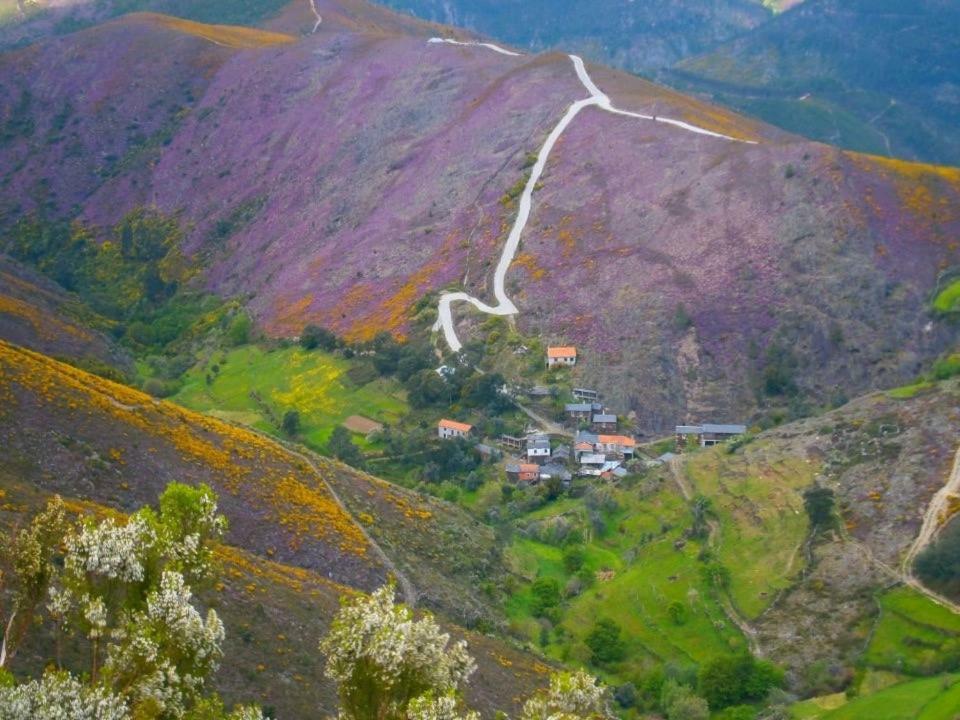 Апартаменты Quinta Da Ribeirinha Арока Экстерьер фото