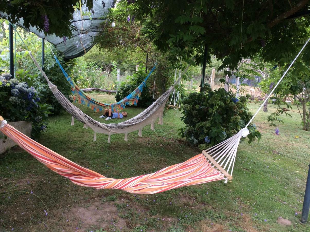 Апартаменты Quinta Da Ribeirinha Арока Экстерьер фото