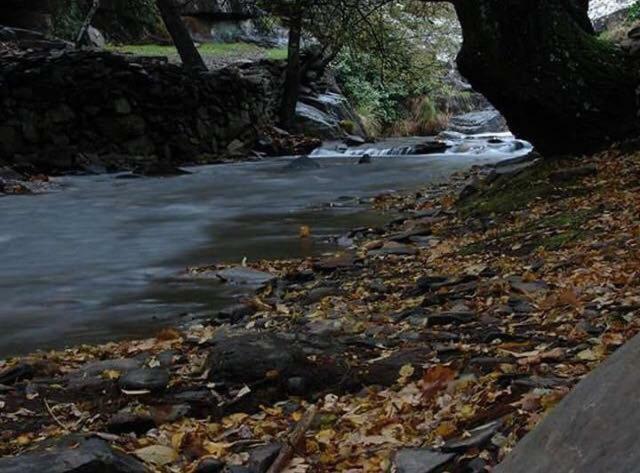 Апартаменты Quinta Da Ribeirinha Арока Экстерьер фото