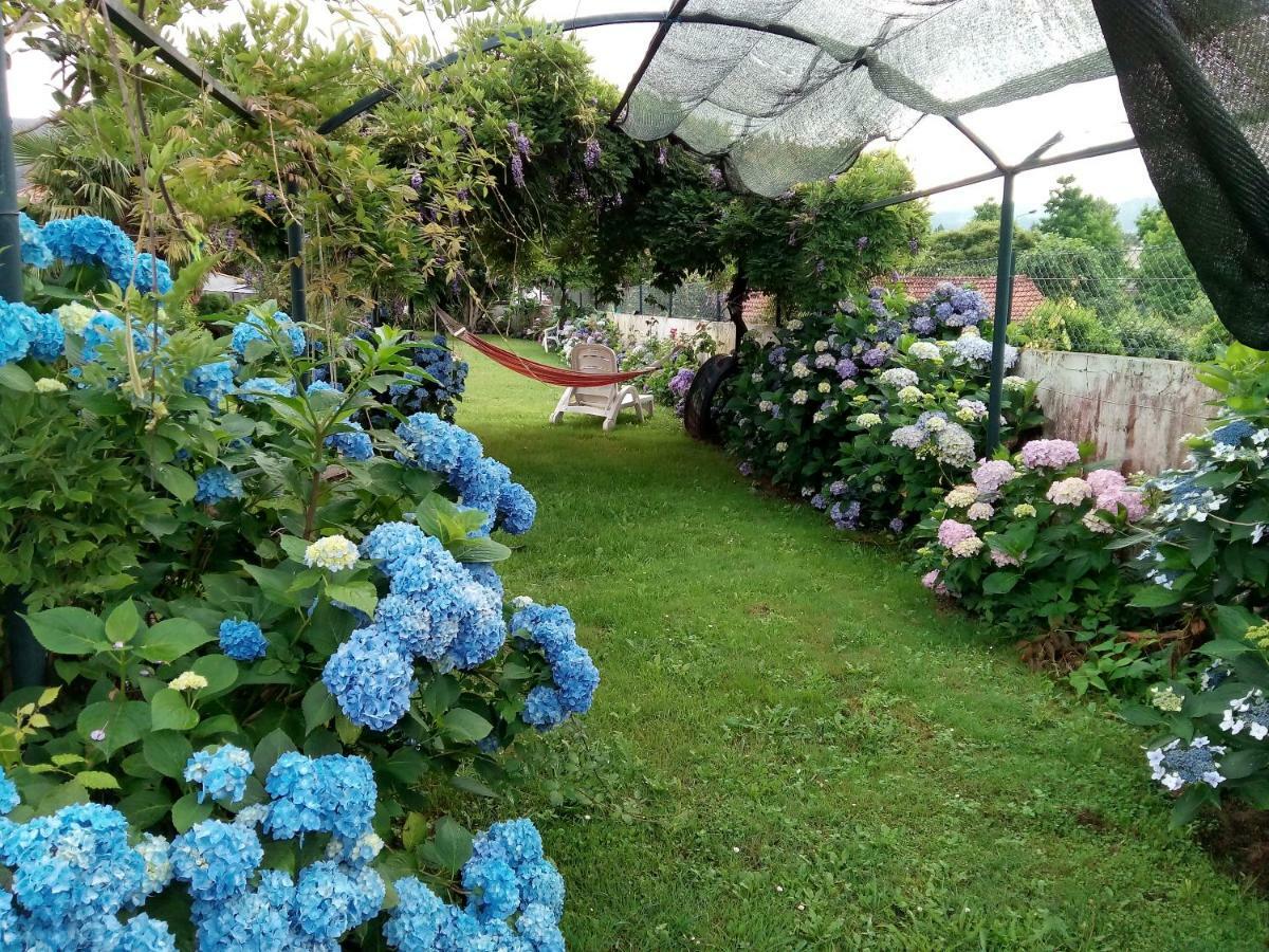 Апартаменты Quinta Da Ribeirinha Арока Экстерьер фото