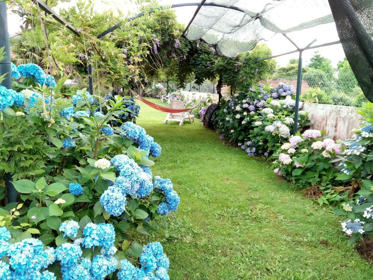 Апартаменты Quinta Da Ribeirinha Арока Экстерьер фото